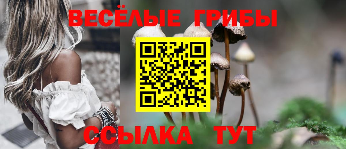 Псилоцибиновые грибы Psilocybine cubensis  Вход с VPN  Псилоцибиновые грибы Psilocybe  Зима 