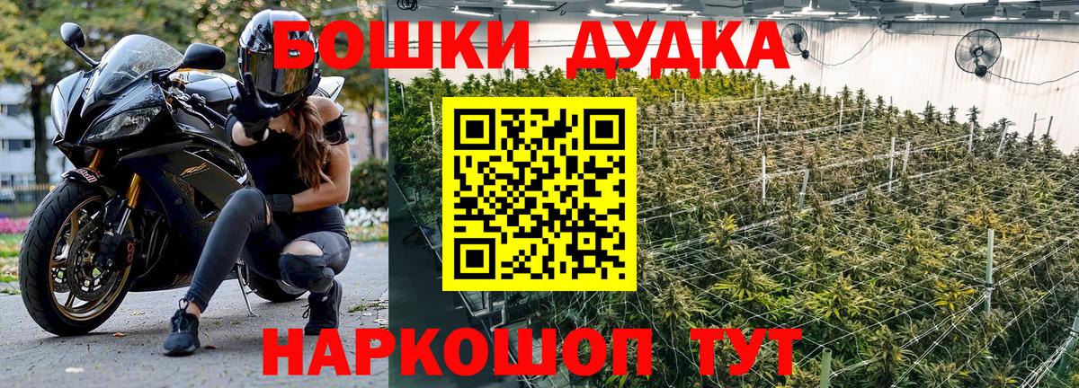 Канабис гибрид Зима